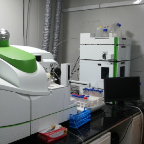 Inductively Coupled Plasma Mass Spectrometry used for elemental analyis in foods