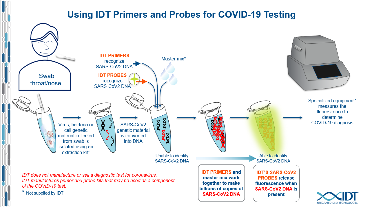 Using test c. PCR Test Covid. PCR Test for Covid 19. Метода RT-PCR. RT PCR Test.